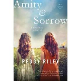 Amity & Sorrow: A Novel