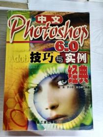 YT1002234 中文Photoshop 6.0技巧与实例经典
