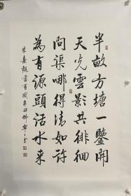 中书协会员 北京东城书协理事 当代女启功 韩宁宁书法 观书有感