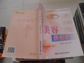 美容解剖学