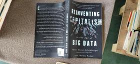 Reinventing Capitalism in the Age of Big Data大数据资本主义