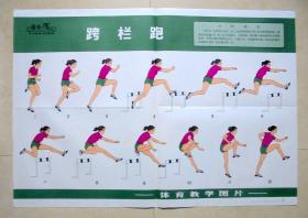 教学挂图，田径   跨栏跑   体育教学图片 上海教育出版社 53*77CM