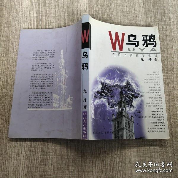 《乌鸦:我的另类留学生活》九丹 著_孔网