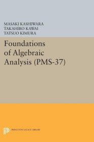 Foundations of Algebraic Analysis，代数分析基础，日本数学家、柏原正树作品，英文原版