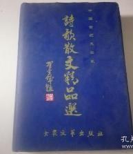 中国世纪大采风诗歌散文精品选