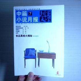 北京文学 中篇小说月报
