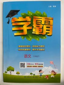 2023春  学霸  语文  六年级下