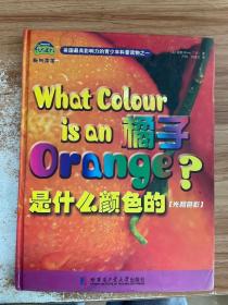 正版 橘子是什么颜色的-光和色彩 /宾斯