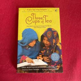 正版 Three Cups of Tea (Young Readers Edition)三杯茶(青少年版) 英文原版 /Greg