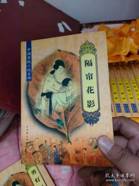 中国禁毁小说百部:隔帘花影(硬 精装本)