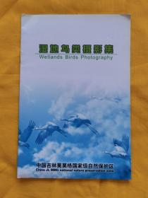 湿地鸟类摄影集（含光盘）——中国吉林莫莫格国家级保护区（2003年一版一印，印量3000册）