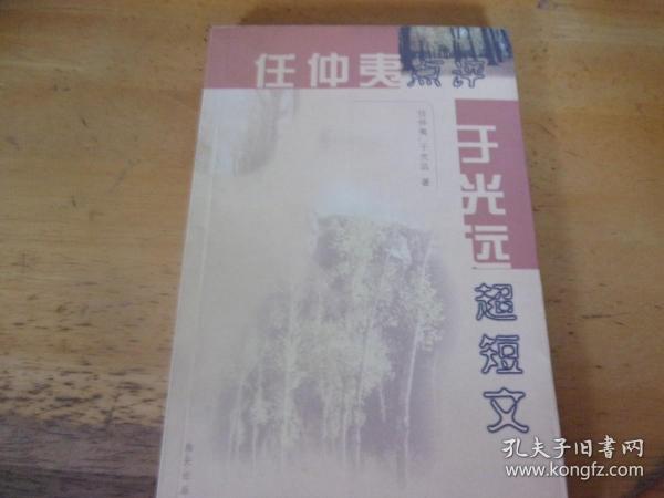 任仲夷点评于光远超短文