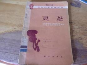 靈芝 農村科學實驗叢書