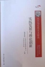 实践发展与理论创新 北京大学中国文化发展研究中心 北京大学出版