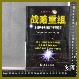 战略重组 地方志 全球产业强强联手宏观透视 无笔迹