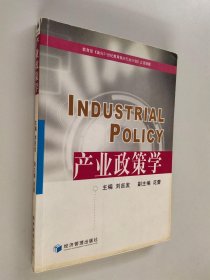 产业政策学