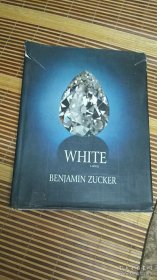White a novel 白色小說 藝術故事