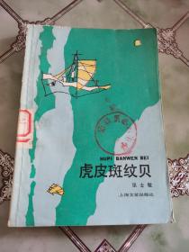 虎皮斑纹贝