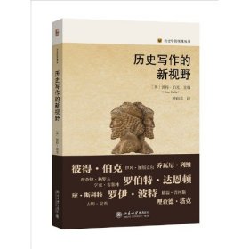 A历史写作的新视野 历史学的实践丛书 薛向君 北京大学出版社