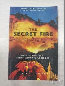 The Secret Fire 秘密之火