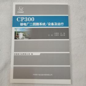 CNP300核电厂BOP系统 设备及运行