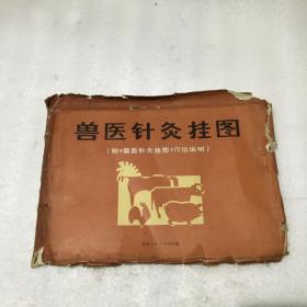 兽医针灸挂图 挂图7张(猪的针灸穴位图2张,牛的针灸穴位图2张,鸡的