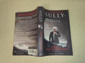 Sully (international edition)