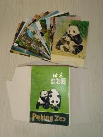 明信片：北京动物园（15张全套）