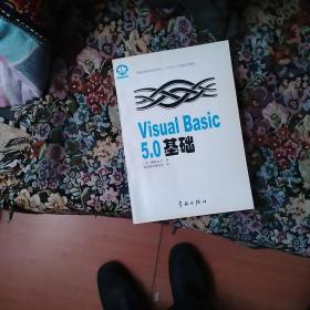 Visual Basic 5.0基础