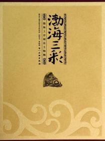 渤海三彩---渤海上京城出土釉陶 黑龙江省文物考古研究所 文物出版社 9787501038756