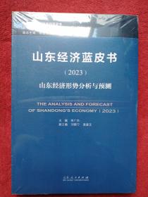 山东经济形势分析与预测【2023】没翻阅【b号】