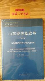 山东经济蓝皮书（2023）