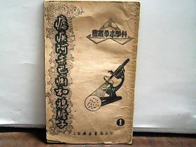 本草丛书——疟疾阿米巴痢和鸦胆子 广益书局 1952年