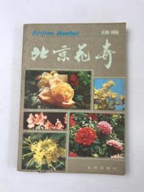 北京花卉
