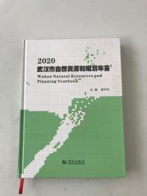 2020武汉市自然资源和规划年鉴