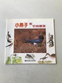 小燕子和它的朋友们