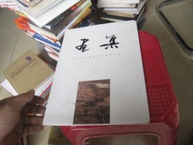 画集——当代中国画名家陈道学作品
