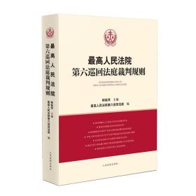 2022新书 最高人民法院第六巡回法庭裁判规则 杨临萍