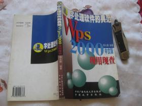 中文字处理软件的典范： WPS 2000 现用现查 （中文版）