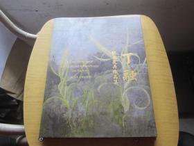 丁融 纸本花卉作品集