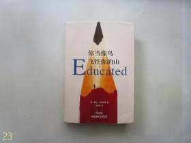 你当像鸟飞往你的山