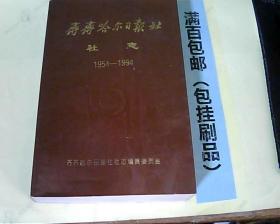 齊齊哈爾日報社社志（1954—1994）