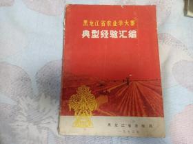 黑龙江省农业学大寨典型经验汇编 1973