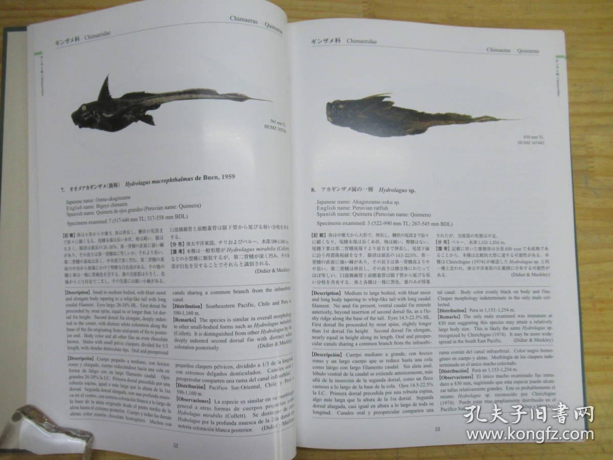 秘鲁海域的深海鱼类图鉴大16开09年日语英语西班牙语355页社団法人日本トロール底魚協会 孔夫子旧书网