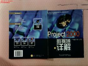 【现货速发】Project 2000数据域详解
