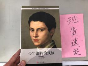 正版现货！少年维特的烦恼