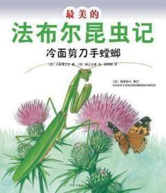 最美的法布尔昆虫记：冷面剪刀手螳螂