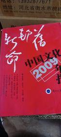 2009中国文化年报