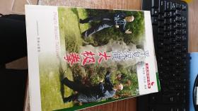平復保健太極拳