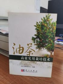油茶高效实用栽培技术